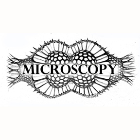 microscopy